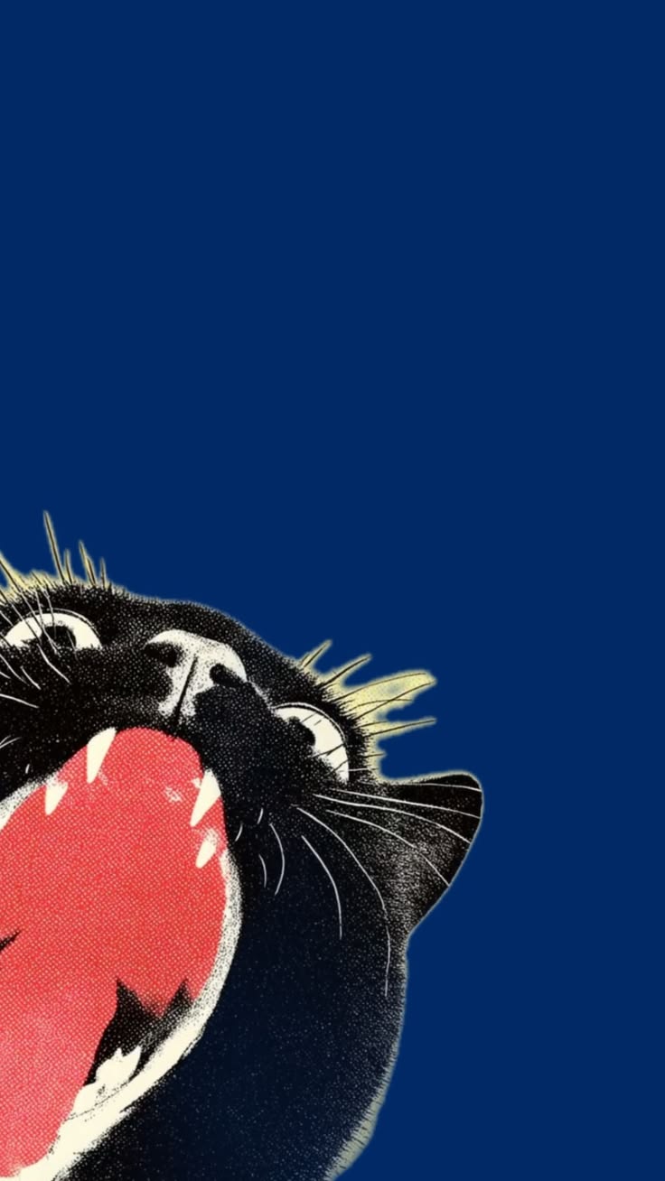 Limited Edition Print